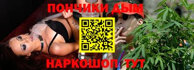 кокс Гатчина