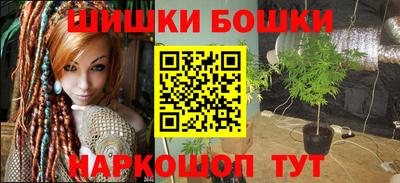 спайс Гай