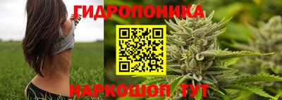 спайс Гай